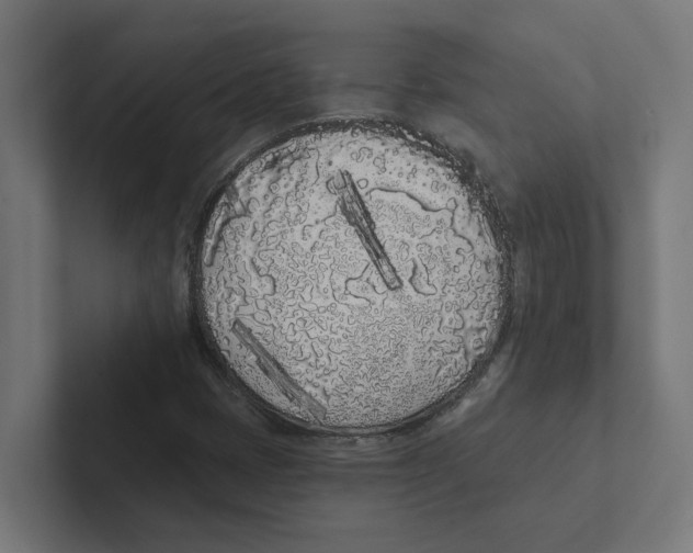X0000102291401200808221347