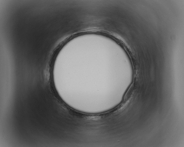 X0000102291406200808221347