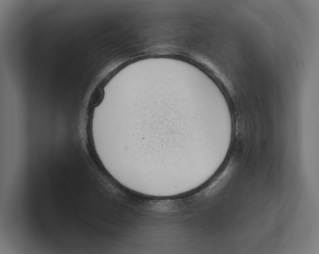 X0000102291410200808221347