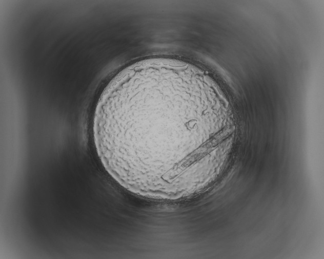 X0000102291411200808221347