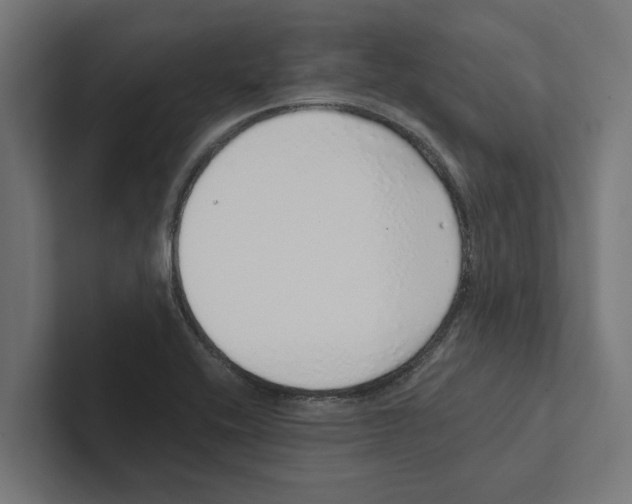 X0000102291416200808221348