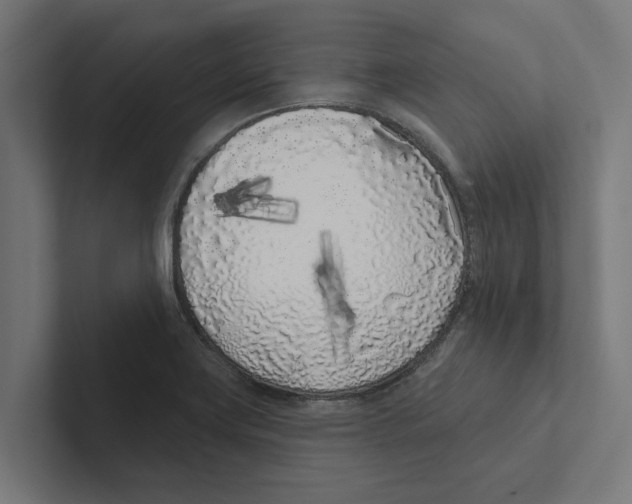 X0000102291419200808221348