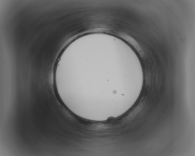 X0000102291420200808221348