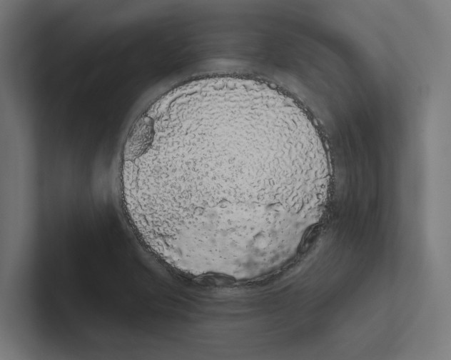 X0000102291421200808221348