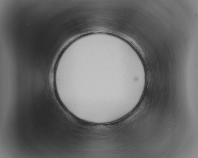 X0000102291424200808221348