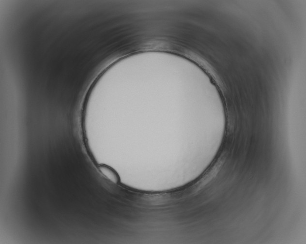 X0000102291434200808221348