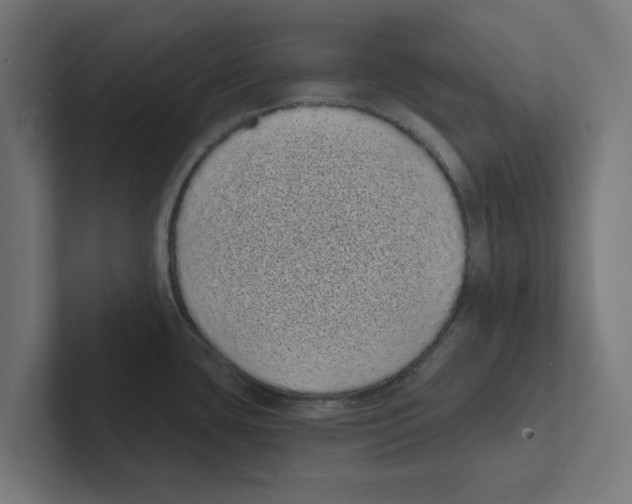 X0000102291435200808221348