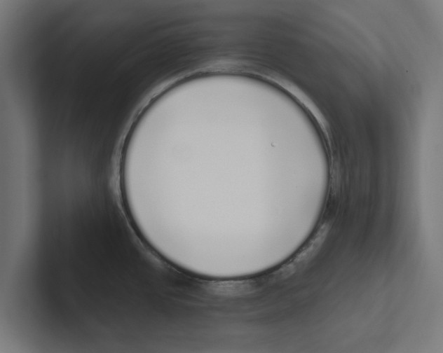 X0000102291437200808221348