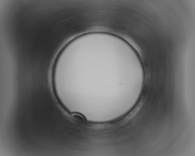 X0000102291438200808221348