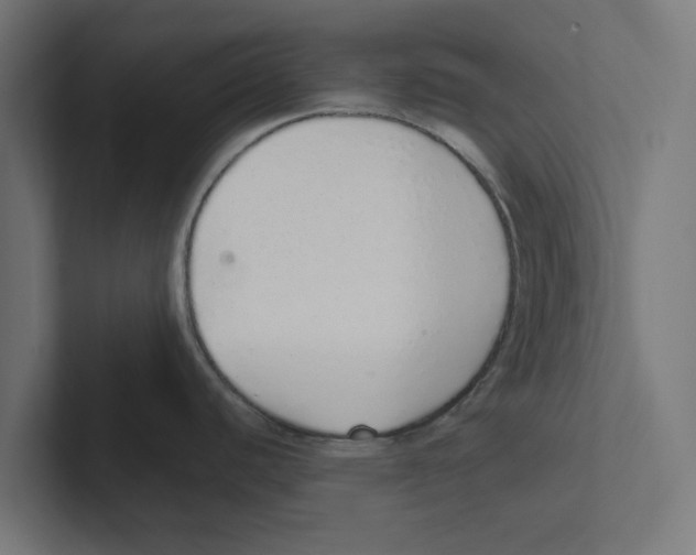 X0000102291440200808221348