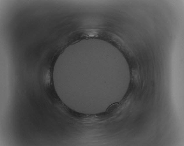 X0000102291442200808221347