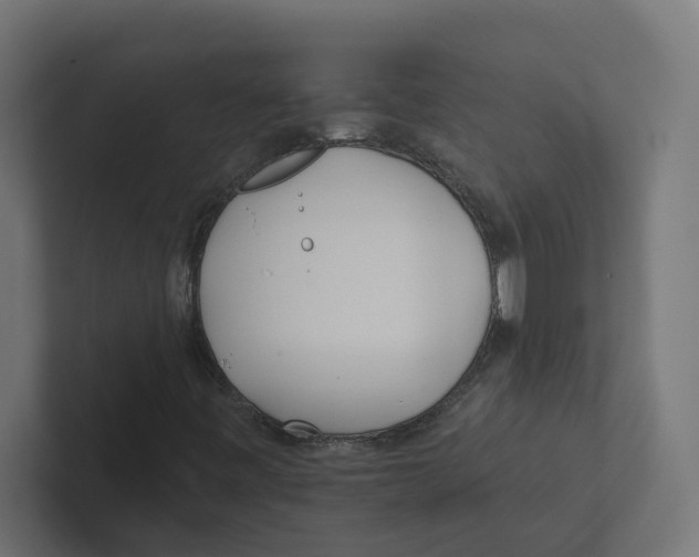 X0000102291443200808221347