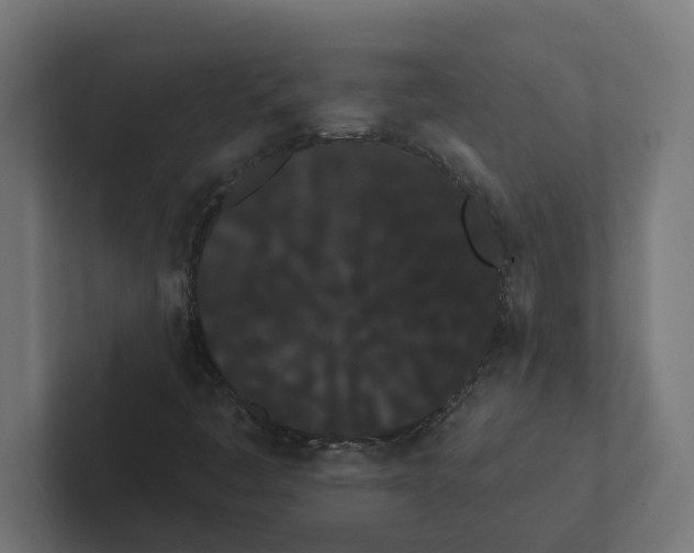 X0000102291445200808221347