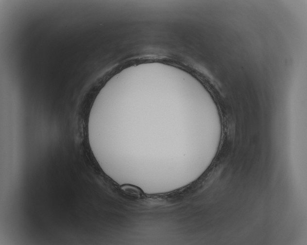 X0000102291448200808221347