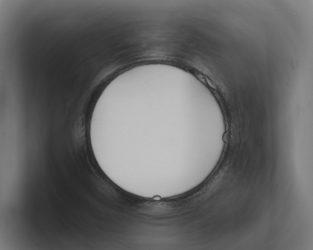 X0000102291450200808221347