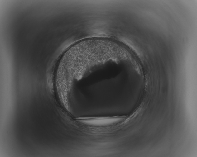 X0000102291455200808221347