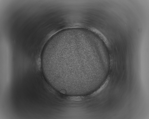 X0000102291457200808221347