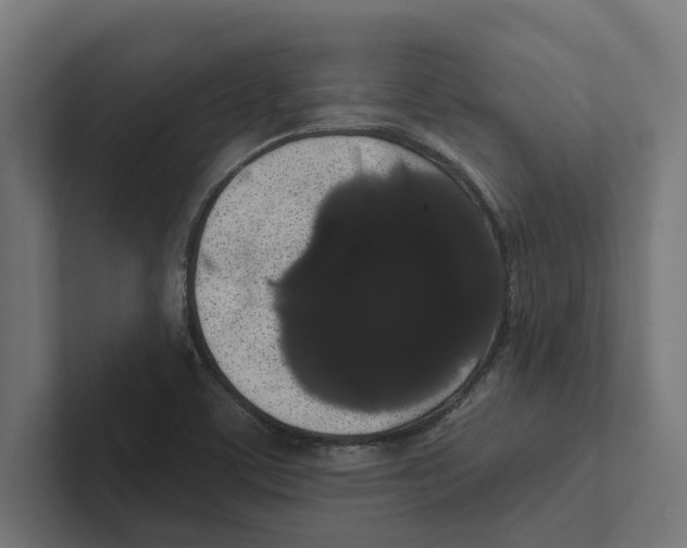 X0000102291459200808221347