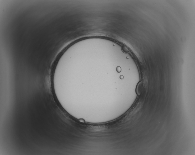 X0000102291460200808221347