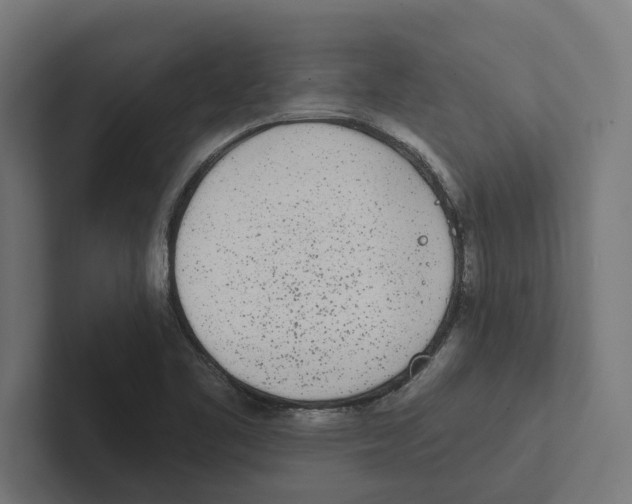 X0000102291461200808221347