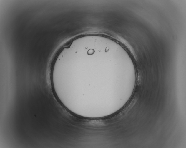 X0000102291464200808221347