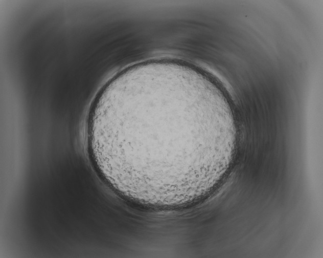 X0000102291467200808221347