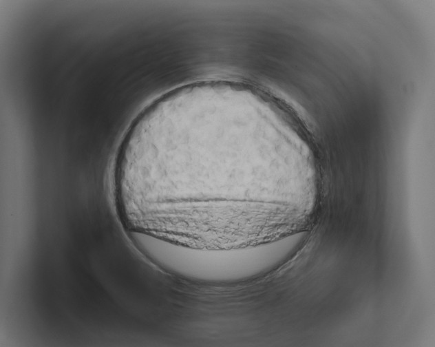 X0000102291471200808221347