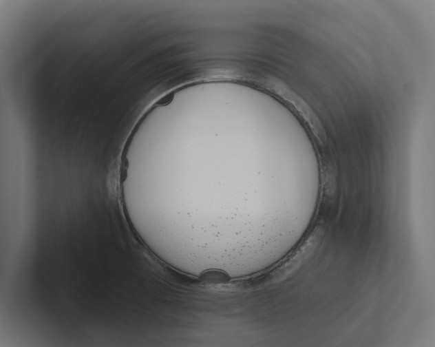 X0000102291473200808221347