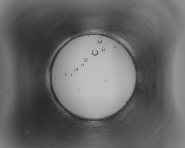 X0000102291476200808221347