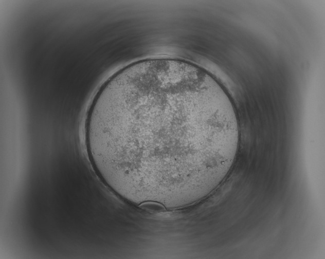 X0000102291480200808221347