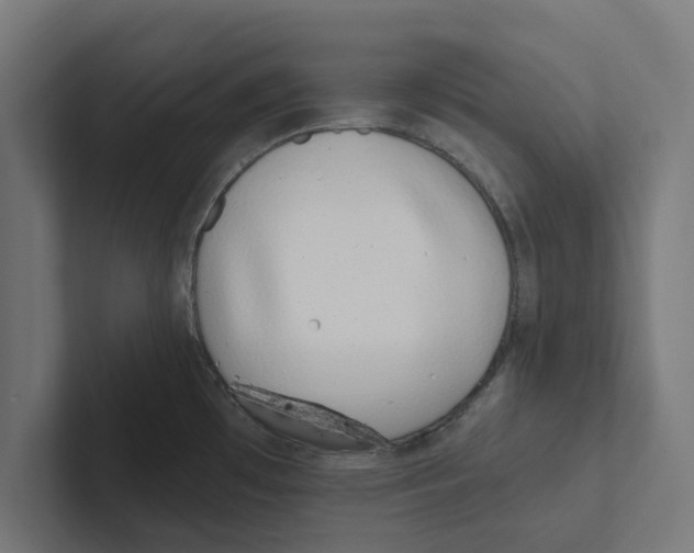 X0000102291481200808221347