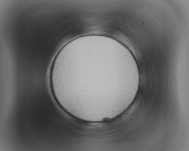 X0000102291483200808221347