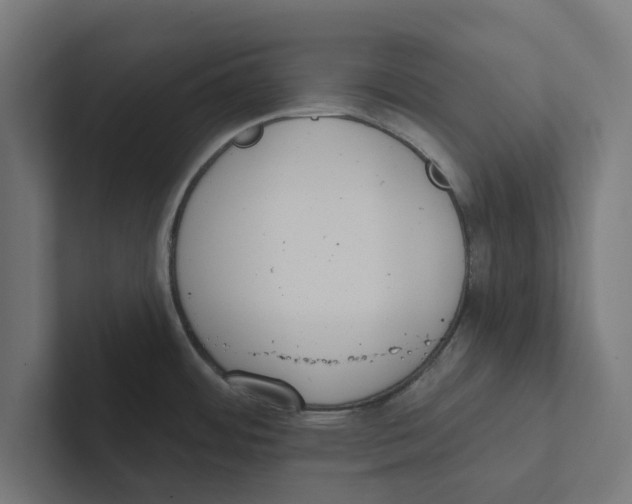 X0000102291484200808221347