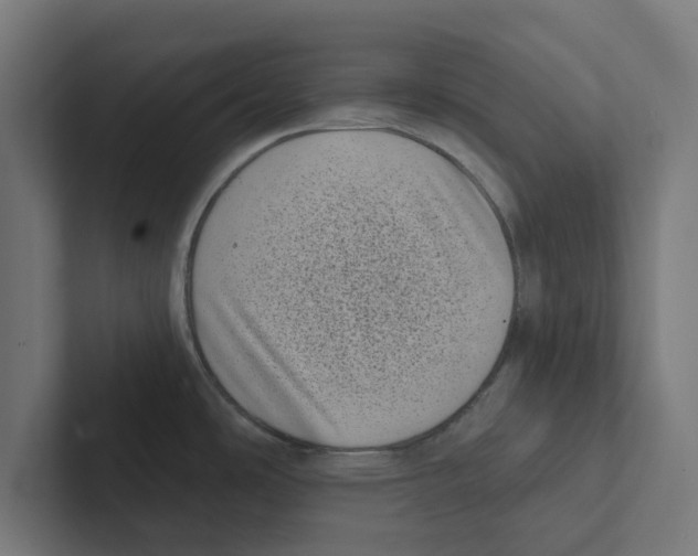 X0000102291486200808221347