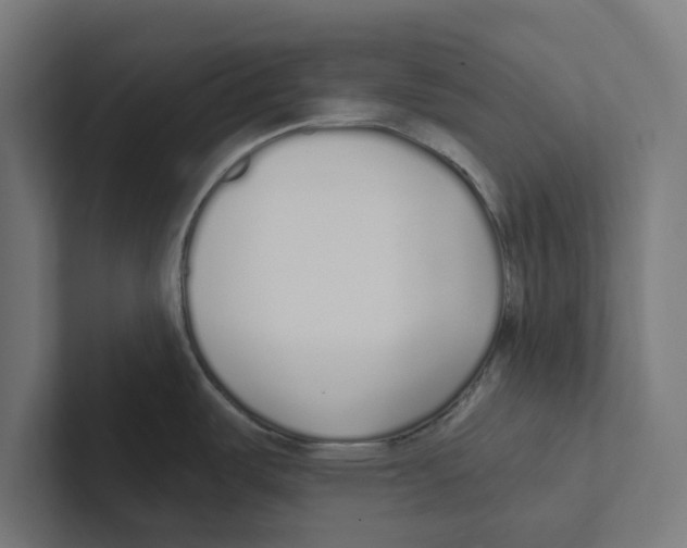 X0000102291487200808221347