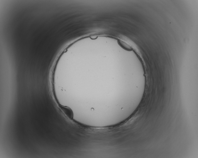 X0000102291488200808221347