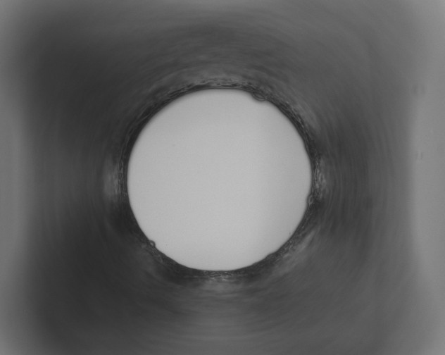 X0000102291490200808221346