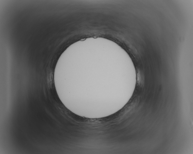 X0000102291492200808221346