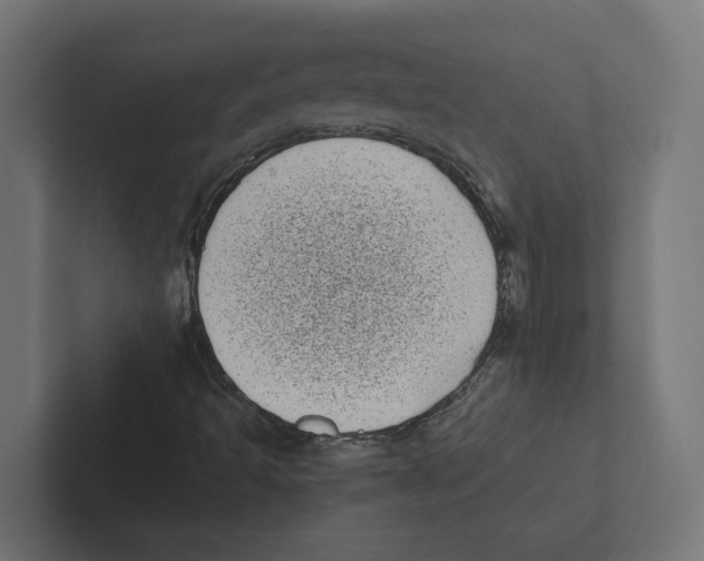 X0000102291493200808221346