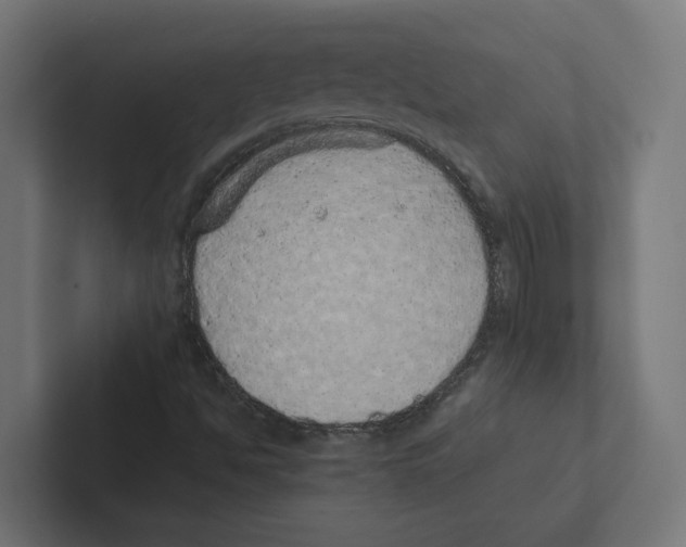 X0000102291494200808221346