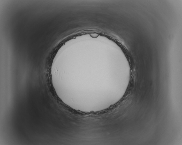 X0000102291496200808221346