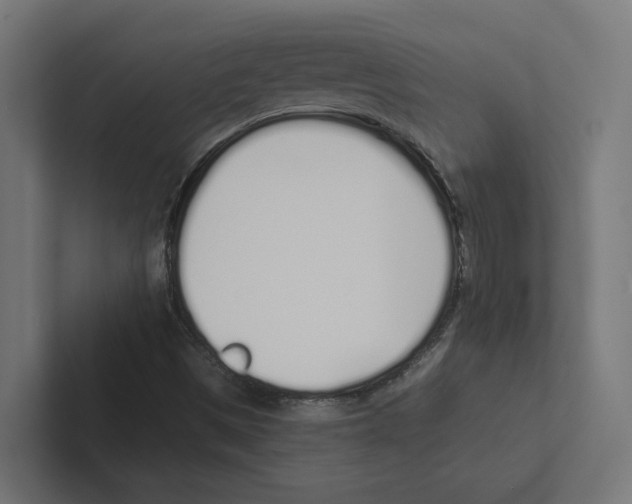 X0000102291497200808221346