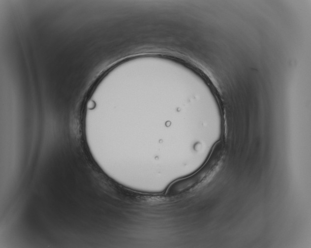 X0000102291501200808221346