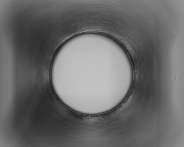 X0000102291505200808221346