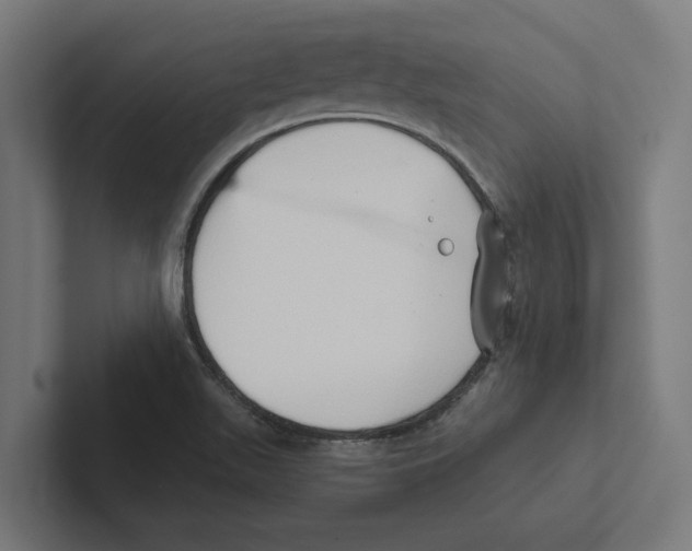 X0000102291511200808221346