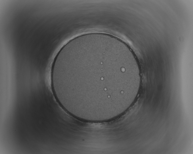 X0000102291512200808221346