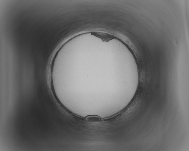 X0000102291520200808221346