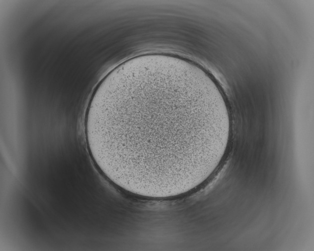 X0000102291521200808221346