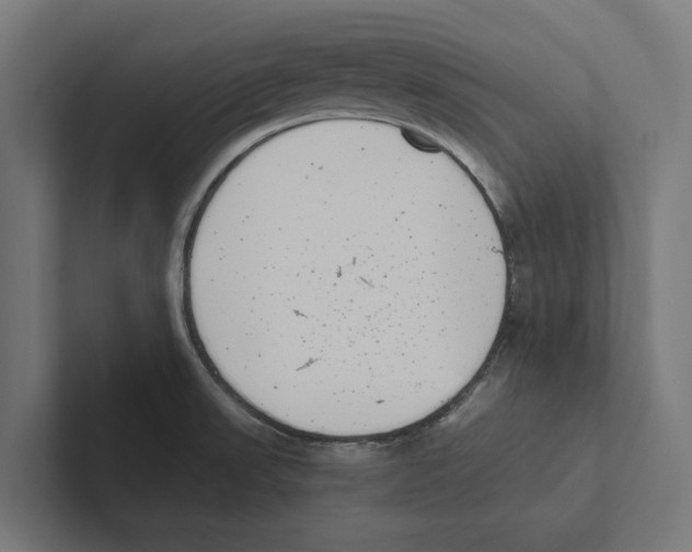 X0000102291523200808221346