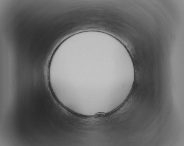 X0000102291527200808221346